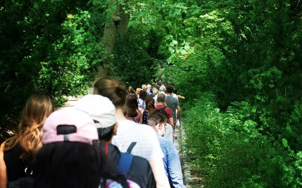 Talleres y Grupos de Bienestar